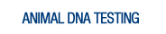 Animal DNA Testing
